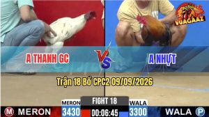 Trận 18 CPC2 09/09/2026 – Gà Bướm Anh Thanh Đá Nhanh Như Tép