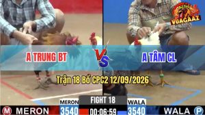 Trận 18 CPC2 12/09/2026 – Anh Tâm Tung Gà Bướm Vào Đá Quá Tốc Độ