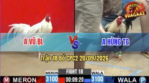 Trận 18 CPC2 20/09/2026 – Gà Anh Hùng TG Canh Chặn Quá Hay