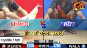 Trận 18 CPC2 21/09/2026 – Anh Tuấn Tiền Giang Gặp Anh Thành GC