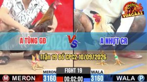 Trận 19 CPC2 10/09/2026 – Anh Nhựt Cái Răng Đánh Bại Anh Tùng GĐ