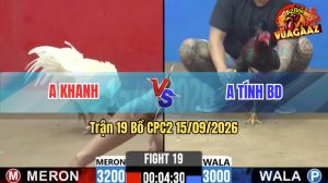 Trận 19 CPC2 15/09/2026 – Gà Bướm Anh Khanh Siết 1 Hơi Lụm Tiền