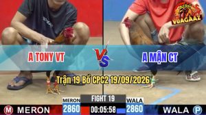 Trận 19 CPC2 19/09/2026 – Anh Mận CT May Độ Hạ Anh Tony VT