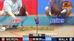 Trận 19 CPC2 21/09/2026 – Anh Toàn Hạ Anh Bito Trong Vòng 3 Nốt Nhạc