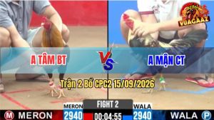 Trận 2 CPC2 15/09/2026 – Gà Chuối Anh Mận Gồng Gánh Quá Trâu