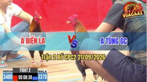 Trận 2 CPC2 21/09/2026 – Gà Điều Anh Điền Đá Đúng 3 Chân Cựa