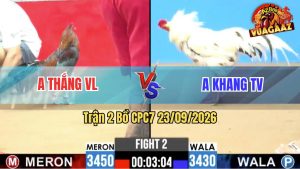 Trận 2 CPC7 23/09/2026 – Anh Thắng Vĩnh Long Gặp Anh Khang Trà Vinh