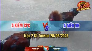 Trận 2 Tonhon 20/09/2026 – Anh Kiểm CPC Hạ Gọn Anh Mễn VR