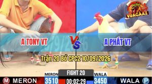 Trận 20 CPC2 10/09/2026 – Gà Điều Anh Phát Có Chân Quá May Độ