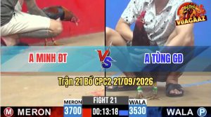 Trận 21 CPC2 21/09/2026 – Anh Tùng Đá Đúng Mấy Chân Hạ Anh Minh