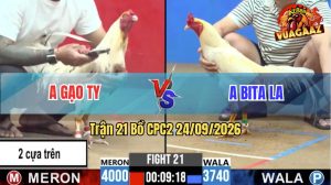 Trận 21 CPC2 24/09/2026 – Anh Bita LA Đánh Bại Anh Gạo TY