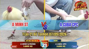 Trận 21 Tonhon 07/09/2026 – Gà Anh Minh ST Đá Chân Nào Đáng Chân Đó