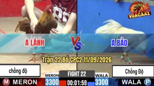 Trận 22 CPC2 11/09/2026 – Anh Lành Gặp Anh Bảo, 2 Con Gà Chồng Độ