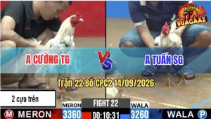 Trận 22 CPC2 14/09/2026 – Anh Tuấn Làm Thịt Anh Cường Dễ Dàng