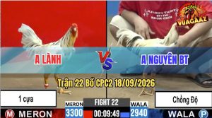 Trận 22 CPC2 18/09/2026 – Gà Anh Nguyên Đá Toàn Cựa Hiểm Hóc