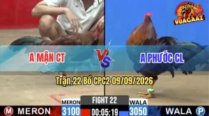 Trận 23 CPC2 09/09/2026 – Anh Đủ Hạ Anh Bi Chỉ Trong Tay Nước Đầu