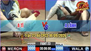 Trận 23 CPC2 18/09/2026 – Gà Anh Tí Đá Quá Nhanh Quá Nguy Hiểm