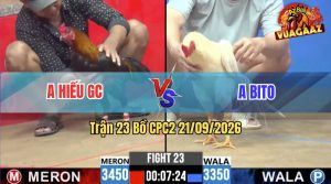 Trận 23 CPC2 21/09/2026 – Gà Bướm Anh Bito Đá Quá Khôn Khéo