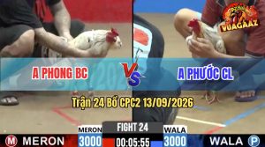 Trận 24 CPC2 13/09/2026 – Anh Phước Có Pha Lội Ngược Dòng Thành Công