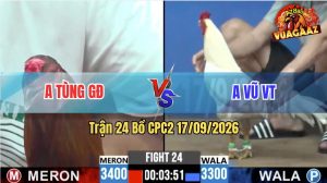 Trận 24 CPC2 17/09/2026 – Anh Vũ Dí Bạc Láo Bị Anh Tùng Lụm