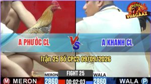 Trận 25 CPC2 09/09/2026 – Gà Anh Khanh CL Toàn Đâm Cựa Khủng