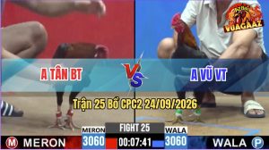 Trận 25 CPC2 24/09/2026 – Gà Anh Vũ Canh Chặn Đâm Cây Cựa Quá Khủng