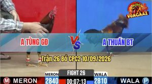 Trận 26 CPC2 10/09/2026 – Anh Thuần BT Lội Ngược Dòng Ngoạn Mục