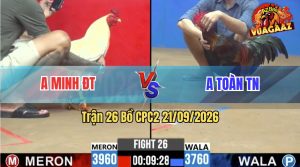 Trận 26 CPC2 21/09/2026 – Anh Toàn TN Làm Thịt Anh Minh ĐT
