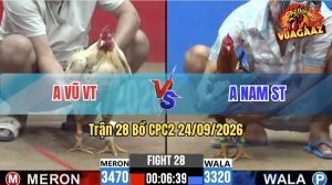 Trận 28 CPC2 24/09/2026 – Anh Vũ Vũng Tàu Gặp Anh Nam Sóc Trăng