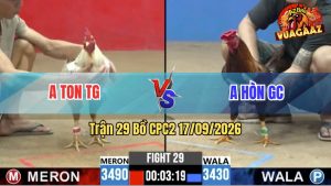 Trận 29 CPC2 17/09/2026 – Anh Hòn Hạ Anh Ton Đúng 1 Tay Nước