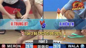 Trận 3 CPC2 12/09/2026 – Gà Bướm Anh Hiền Bươi Chà Như Cái Máy