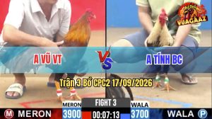 Trận 3 CPC2 17/09/2026 – Anh Tính Hạ Anh Vũ Trong 3 Nốt Nhạc