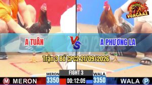 Trận 3 CPC2 21/09/2026 – Anh Tuân Hạ Anh Phương Nhanh Gọn