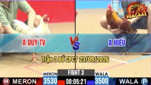Trận 3 CPC7 23/09/2026 – Gà Anh Duy Trà Vinh Đá Quá Tốc Độ