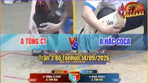 Trận 3 TonHon 14/09/2026 – Anh Tùng CT Gặp Anh Hắc Coca, Xổ 500 Triệu