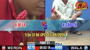 Trận 31 CPC2 17/09/2026 – Anh Bi LA Đụng Độ Với Anh Cào Cỏ