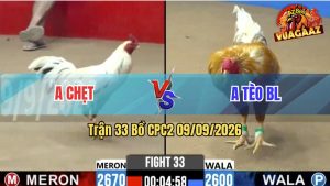 Trận 33 CPC2 09/09/2026 – Anh Chẹt Lụm Anh Tèo Vì Tội Chấp Ngông