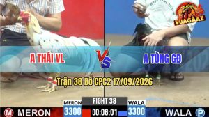 Trận 38 CPC2 17/09/2026 – Anh Thái Vĩnh Long Gặp Anh Tùng GĐ
