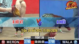 Trận 39 CPC2 17/09/2026 – Gà Anh Vũ Tránh Né Khôn Như Người Ta