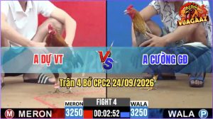 Trận 4 CPC2 24/09/2026 – Anh Dự VT Hạ Gọn Anh Cường GĐ