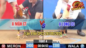 Trận 4 CPC2 26/09/2026 – Gà Bướm Anh Long Đá Cựa Đâm Như Đời Tới