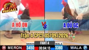 Trận 4 CPC2 Ngày 5/9/2026