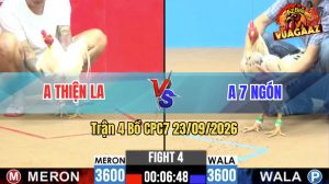Trận 4 CPC7 23/09/2026 – Anh Thiện Long An Đụng Độ Anh 7 Ngón