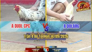 Trận 4 TonHon 14/09/2026 – Anh Duol CPC Đụng Độ Với Anh Dola RG