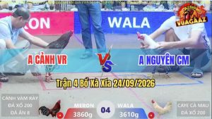 Trận 4 Xà Xía 24/09/2026 – Anh Nguyên CM Chấp Anh Cảnh Hơn 2 Chấm