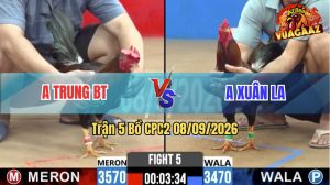 Trận 5 CPC2 08/09/2026 – Anh Xuân Chưa Thả Gà Đã Dí Bạc Ăn 5