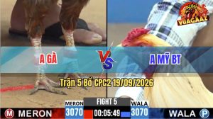 Trận 5 CPC2 19/09/2026 – Gà Úa Anh Mỹ Bươi Chà Như Cái Máy