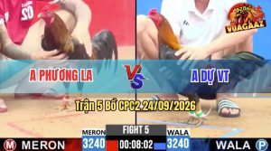 Trận 5 CPC2 24/09/2026 – Gà Anh Phương Canh Chặn Quá Hay