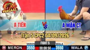 Trận 5 CPC2 Ngày 4/9/2026