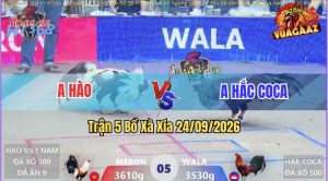 Trận 5 Xà Xía 24/09/2026 – Anh Hắc Coca Và Anh Hào CPC, Xổ Nửa Tỷ